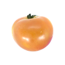 Tomate Carmem AAA Salada